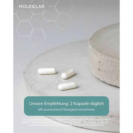 Moleqlar Caakg Calcium Alpha-Ketoglutarate Capsules, 60 capsules