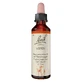 Bachbloesemremedies nr. 2 Aspen-druppels, 20 ml druppels