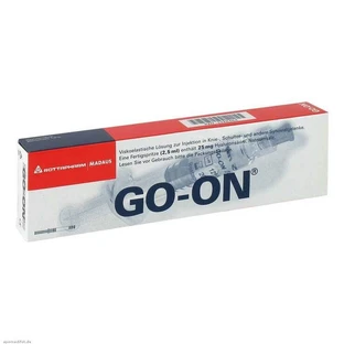 Go-On Hyaluronsäure Fertigspritzen, 1 St Fertigspritzen