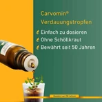 Carvomin Digestive Drops, 50 ml Oral Solution