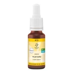 Bachbloesemremedie nr. 21 Mosterd, biologisch, 20 ml, n.v.