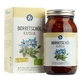 Capsule di olio di borragine biologico vegano da 500 mg, 120 capsule