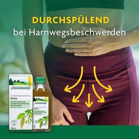 Savia de abedul Schoenenberger, 200 ml de savia