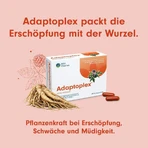 Adaptoplex 120 mg Hard Capsules, 60 Hard Capsules