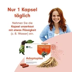 Adaptoplex 120 mg Hard Capsules, 60 Hard Capsules