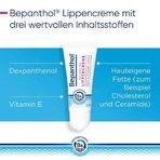 Bepanthol Lip Cream, 2 x 7.5 g cream