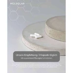 Moleqlar Taurin high Dose L-Taurine Kapseln, 90 St Kapseln