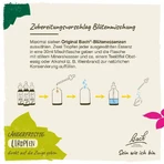 Bach Flower Remedy No. 21 Mustard Drops, 20 ml drops