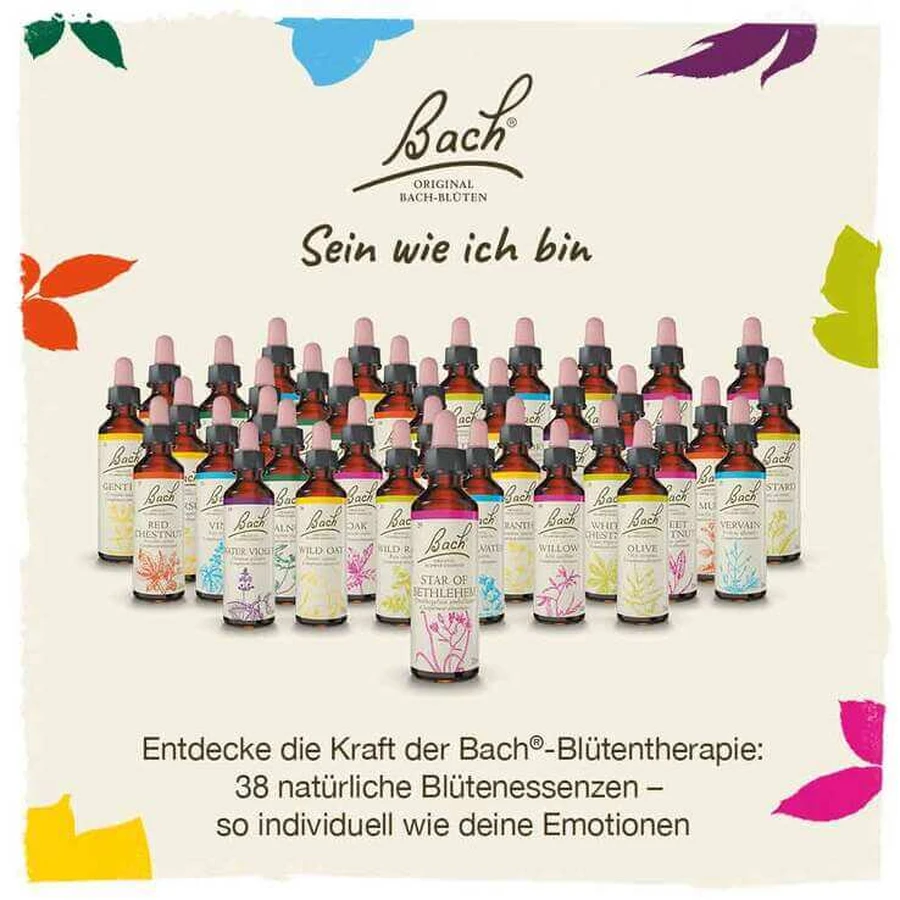 Bach Flower Remedy No. 21 Mustard Drops, 20 ml drops