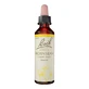 Bachbloesemremedies Original 17 Beukendruppels, 10 ml