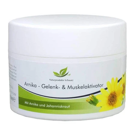 Arnika Gelenkbalsam, 100 ml Balsam