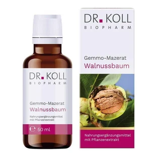 Dr. Koll Gemmo-maceraat van de walnootboom (Juglans regia), druppels, 50 ml