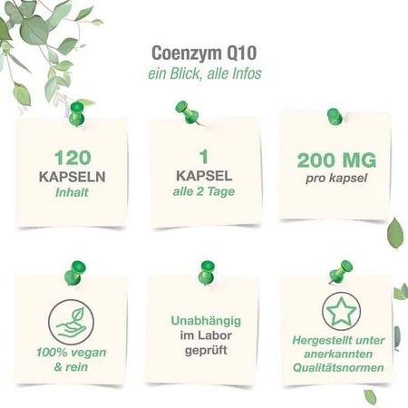 Co-enzym Q10 Ubiquinon-complex 200 mg veganistische capsules, 120 capsules
