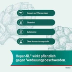 Hepar-SL® 320 mg, gélules, boîte de 100 gélules