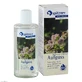 Infusión para sauna Spitzner: Melisa y miel para el bienestar, concentrado de 190 ml