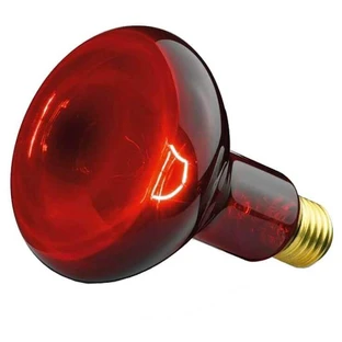 Beurer Infrared Light Bulb 100W, 1 pc., n/a