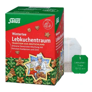 Salus Lebkuchentraum biologische theezakjes, 15 theezakjes