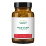 Pycnogenol Kapseln, 14 g Kapseln