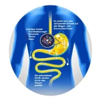 Silicolgel gegen Magen-Darm-Erkrankungen, 200 ml Gel
