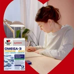 Doppelherz Omega-3 Premium 1500 System, 3 boîtes de 120 gélules