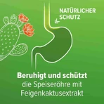 Refluthin para la acidez estomacal, comprimidos masticables con sabor a fruta, 16 comprimidos masticables