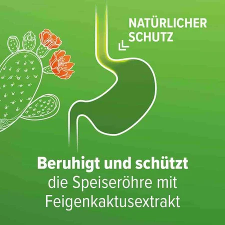 Refluthin para la acidez estomacal, comprimidos masticables con sabor a fruta, 16 comprimidos masticables
