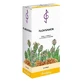 Flohsamen Kerne, 300 g Kerne
