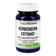 Pumpkin Seed Extract 450 mg GPH Capsules, 60 Capsules