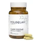 Moleqlar Quercesome Quercetin-C-Complex Capsules, 60 capsules