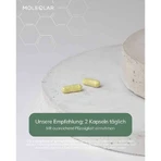 Moleqlar Quercesome Quercetin-C-Complex Capsules, 60 capsules