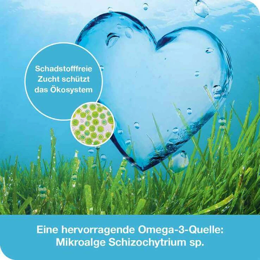 Cápsulas vegetales OMEGA3-Loges, 2 x 120 cápsulas