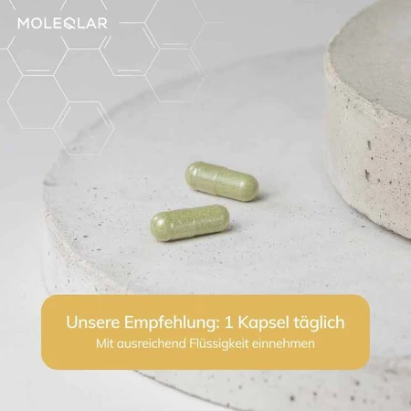 Moleqlar Longevity Spermidin pro Kapseln, 60 St Kapseln