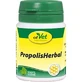 Poudre à base de propolis et de plantes pour animaux, 20 g de poudre