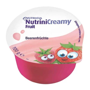 Nutrini Creamy Fruit Berries, 48 x 100 g