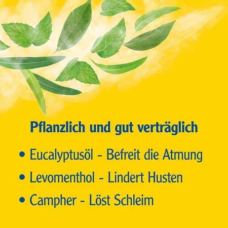 Pinimenthol® Cold Bath for Ages 12 and Up, 190 ml Bath