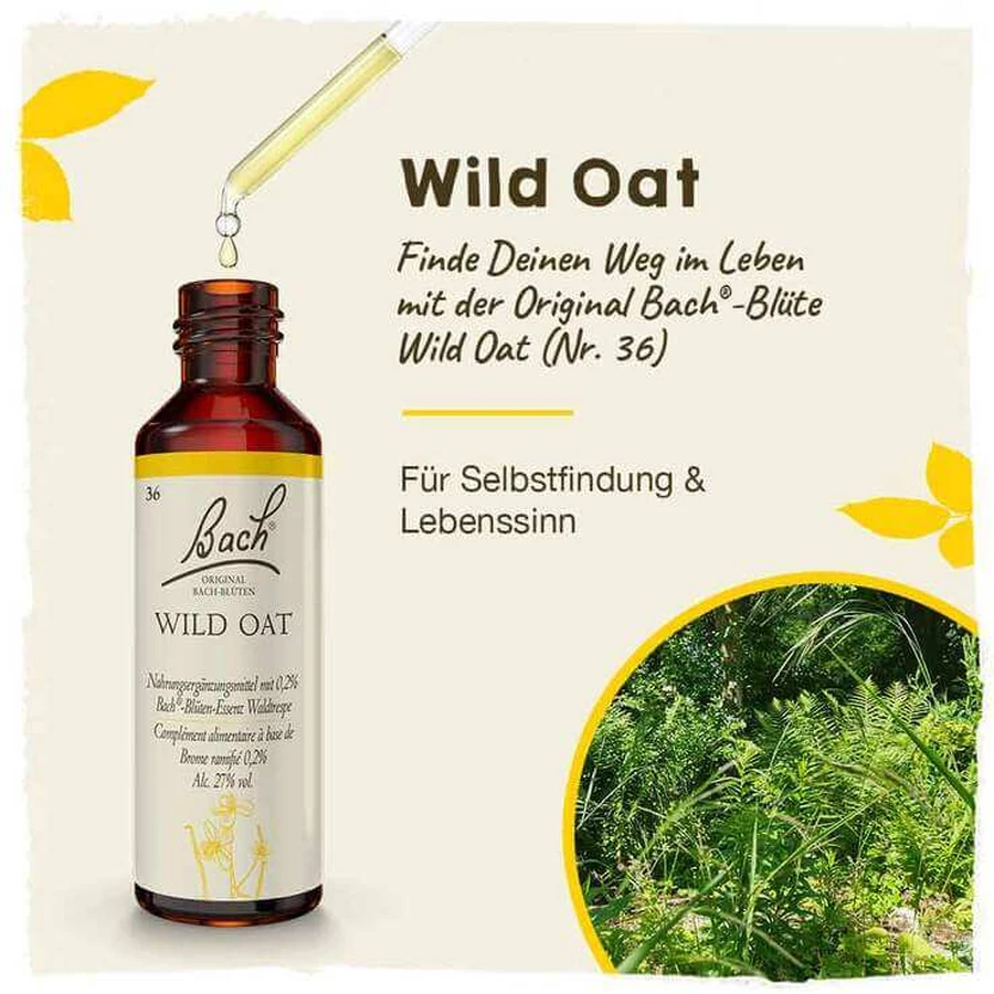 Fleurs de Bach n° 36 « Wild Oat » (Avoine sauvage), flacon de 20 ml