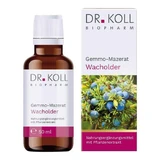 Dr. Koll Juniperus communis Gemmo-Macerate, 50 ml Drops