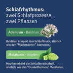ALLUNA Sleep Film-Coated Tablets, 20 film-coated tablets