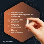 Cápsulas de bisglicinato de magnesio + vitamina B6, 240 cápsulas