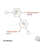 Cápsulas de bisglicinato de magnesio + vitamina B6, 240 cápsulas