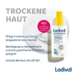 Ladival Zonnebrandspray voor de droge huid SPF 50+, 2x150 ml spray