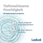 Ladival Zonnebrandspray voor de droge huid SPF 50+, 2x150 ml spray