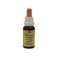 Bach Flower Remedies: Murnauer Sweet Chestnut Drops, 20 ml