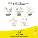 Bach Flower Remedies Original Rescura Pets Drops, Alcohol-Free, for Animals, 10 ml Drops