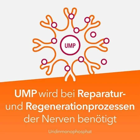 Cápsulas de Neuropax-ratiopharm forte, 2 x 80 cápsulas