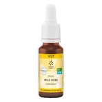 Bach Flower Remedy No. 37 Wild Rose Organic, 20 ml, n.v.