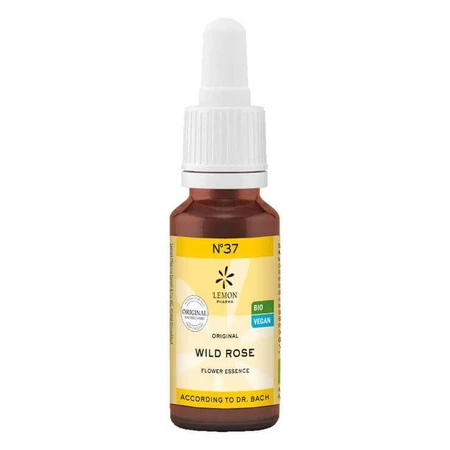 Bach Flower Remedy No. 37 Wild Rose Organic, 20 ml, n.v.