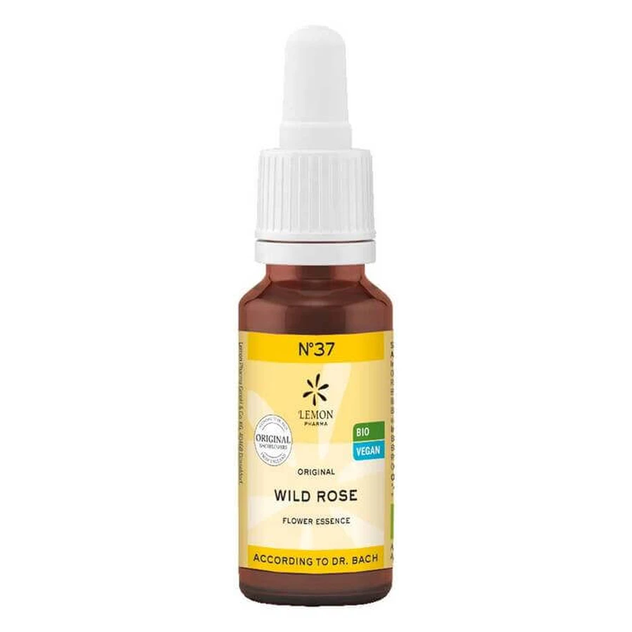 Bach Flower Remedy No. 37 Wild Rose Organic, 20 ml, n.v.
