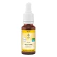 Bach Flower Remedy No. 37 Wild Rose Organic, 20 ml, n.v.