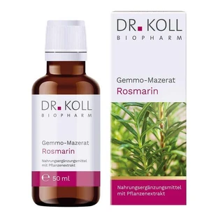Dr. Koll Rozemarijnknop-maceraat (Rosmarinus officinale), druppels, 50 ml